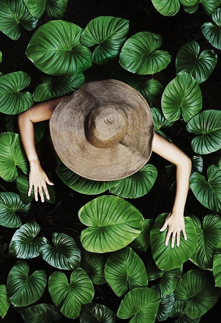 Agriculture & Agribusiness