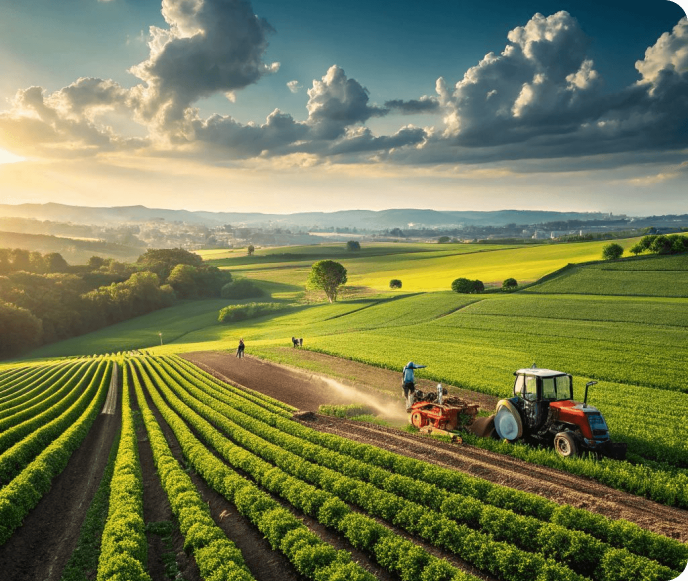 AGRICULTURAL OPERATIONS