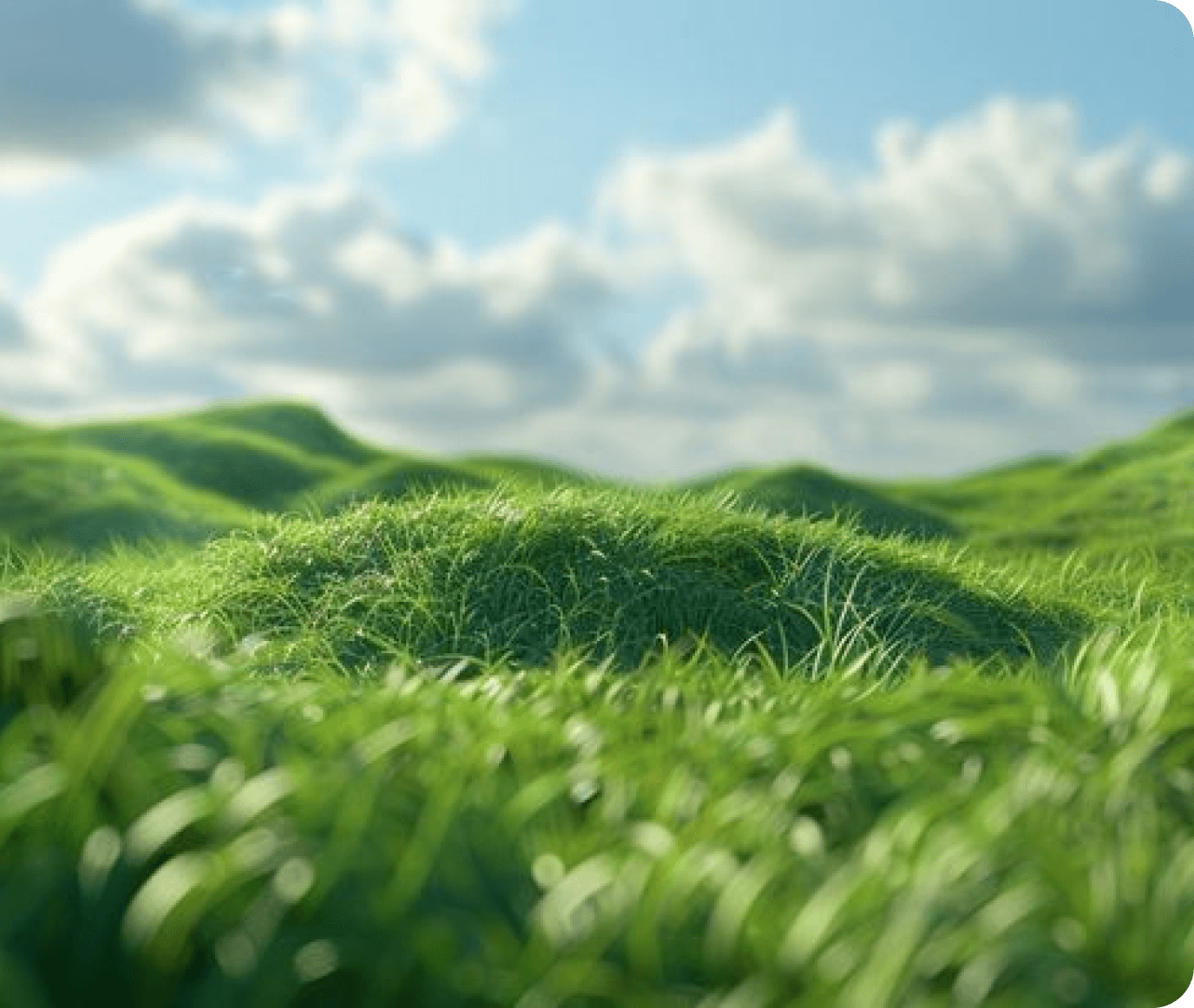 ENVIRONMENTAL SOLUTIONS